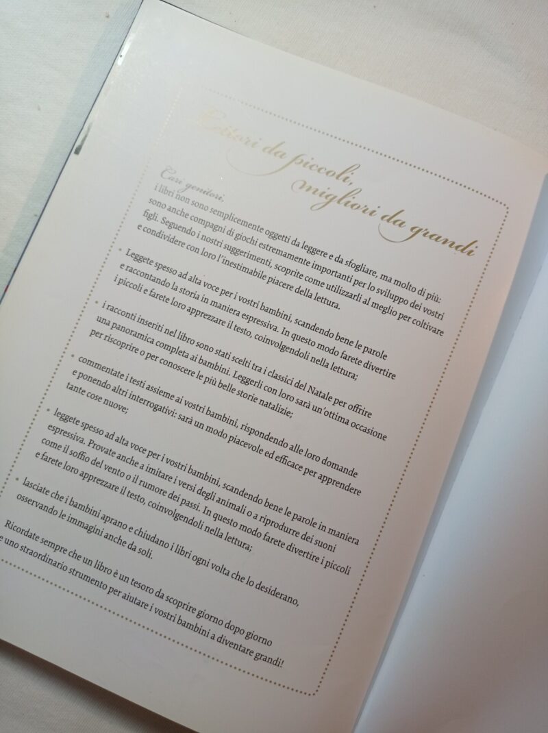 Il mio fantastico libro di Natale