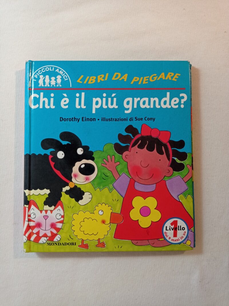 Chi è il più grande?
