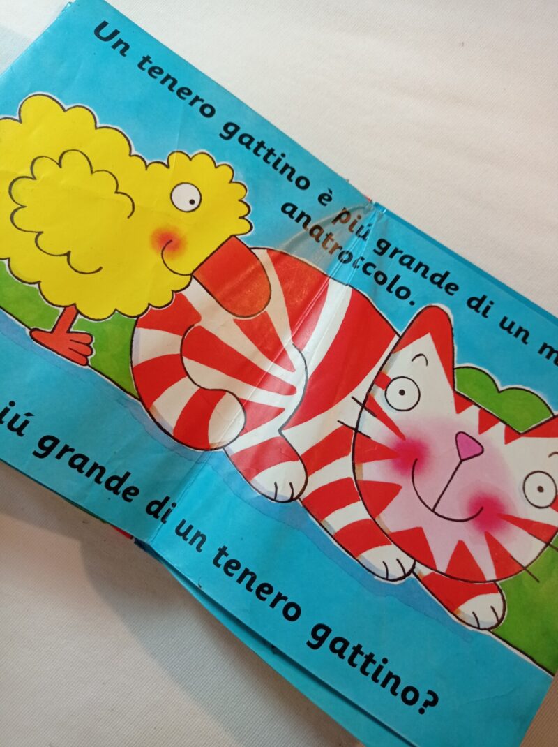 Chi è il più grande?