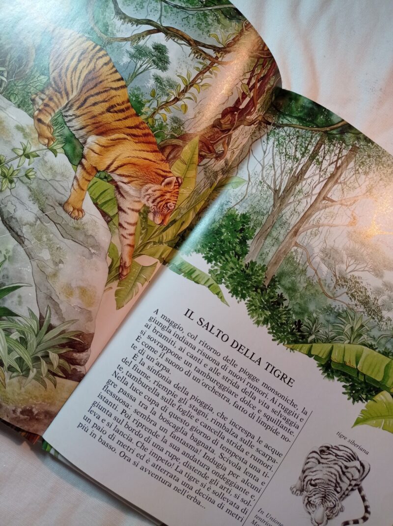 Un anno con la tigre e gli animali della giungla