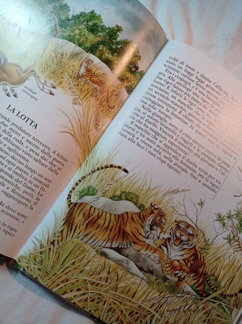 Un anno con la tigre e gli animali della giungla