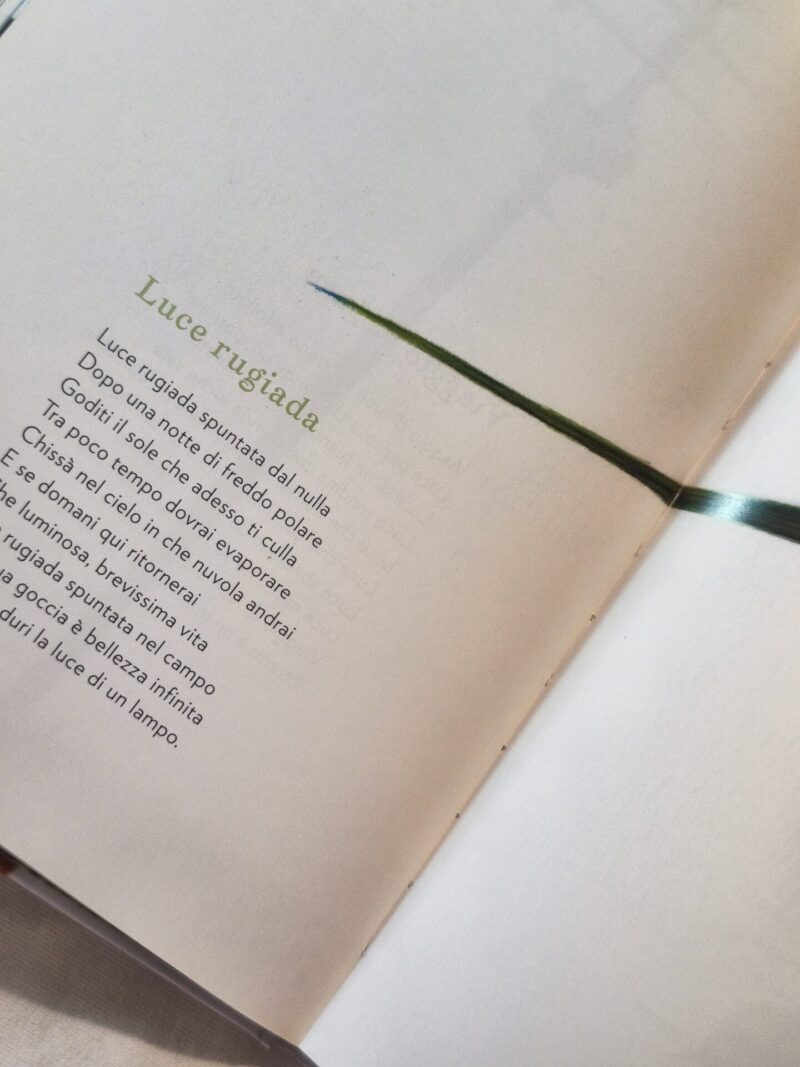 Poesie di luce formato grande