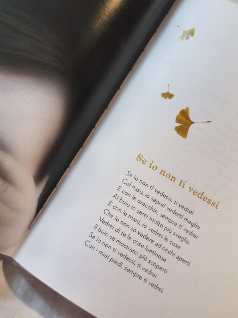 Poesie di luce formato grande