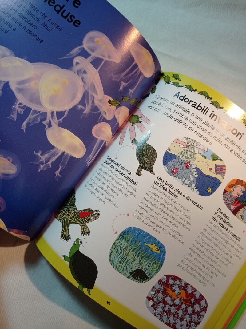 L'enciclopedia dei record