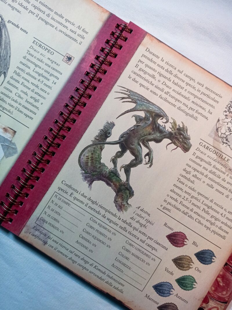 Dragologia applicata 
Quaderno di esercizi