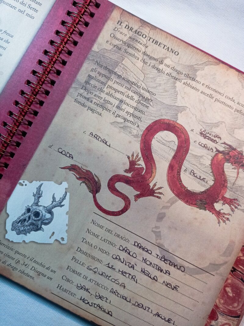Dragologia applicata 
Quaderno di esercizi