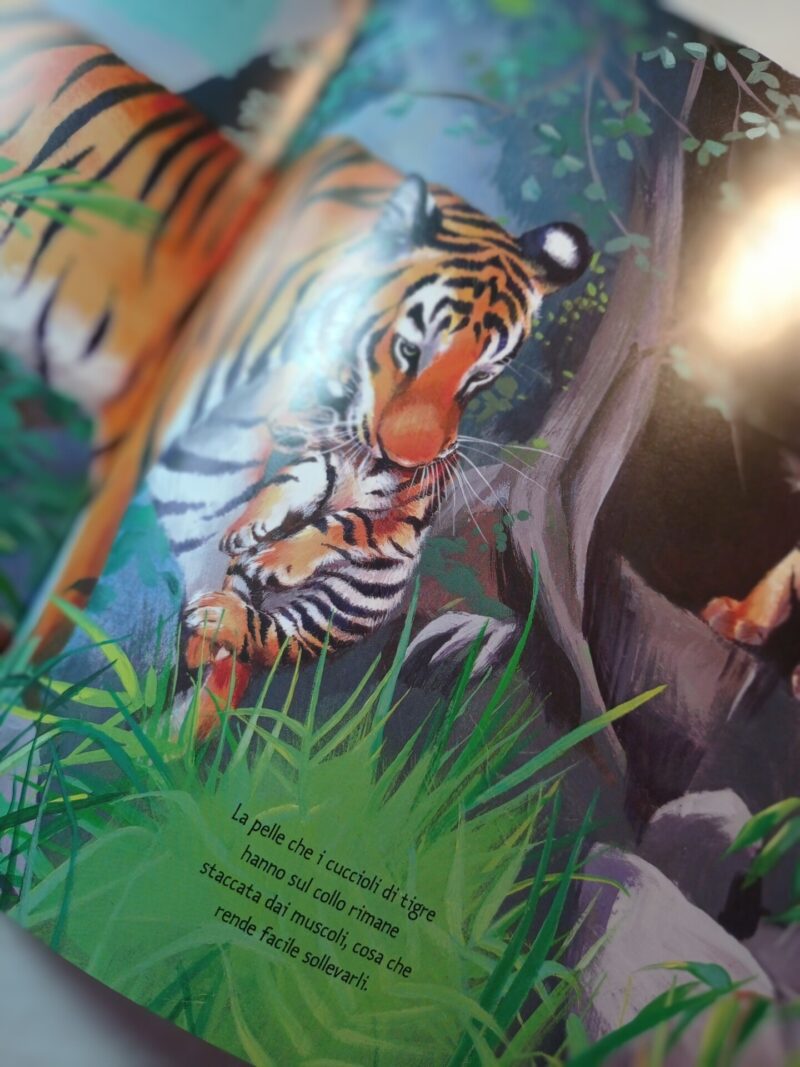 Mamma tigre con cd