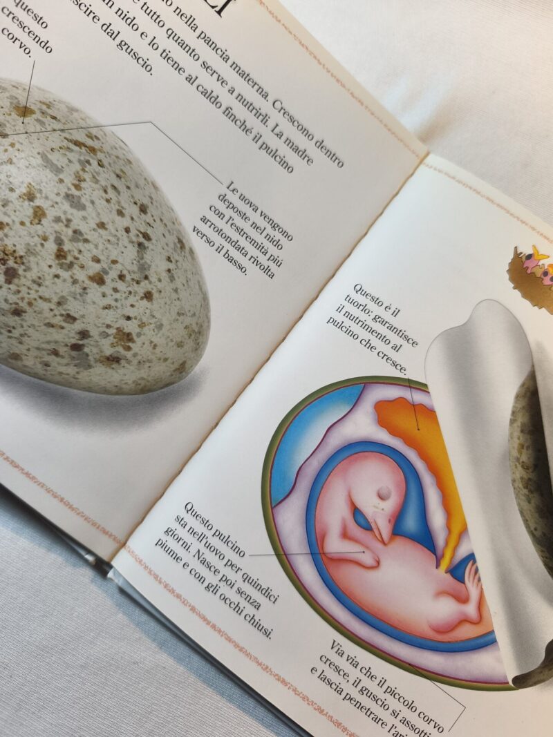Cosa c'è dentro le Mamme