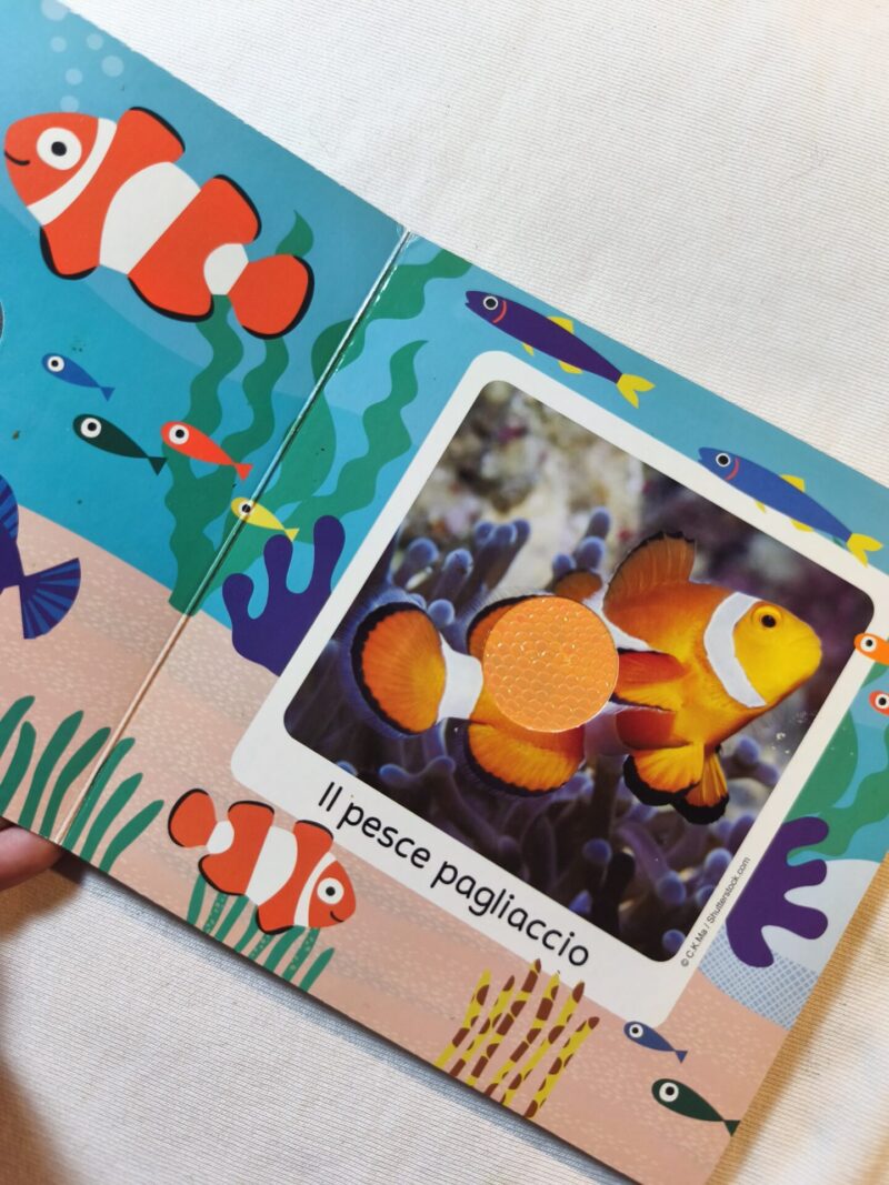 Gli animali del mare