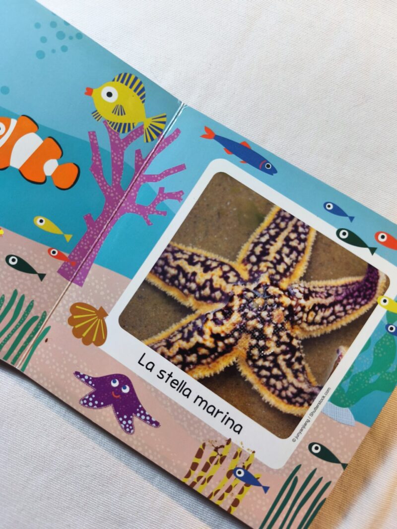 Gli animali del mare