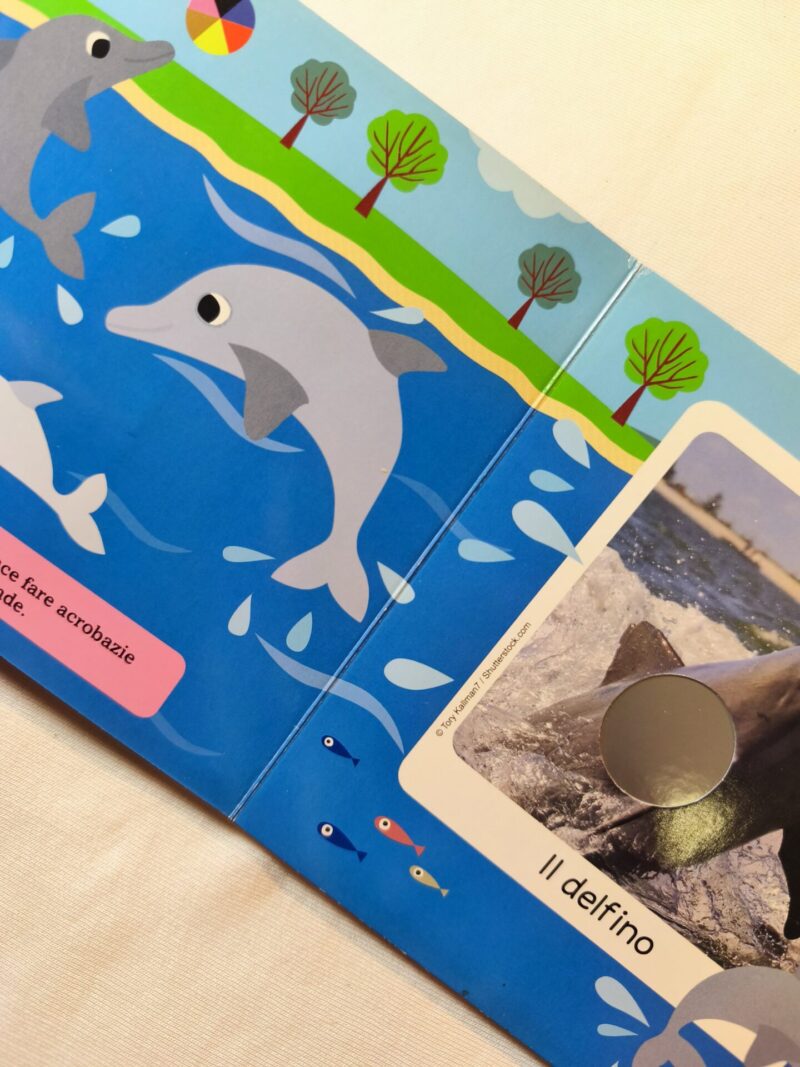 Gli animali del mare