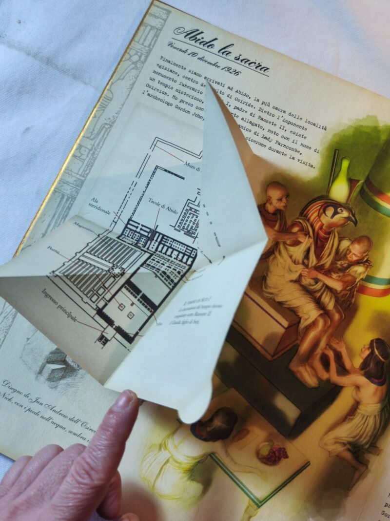 Egittologia
