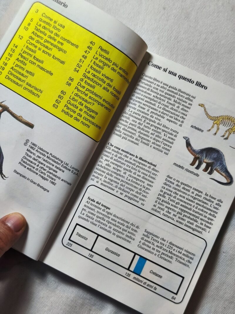 I dinosauri
