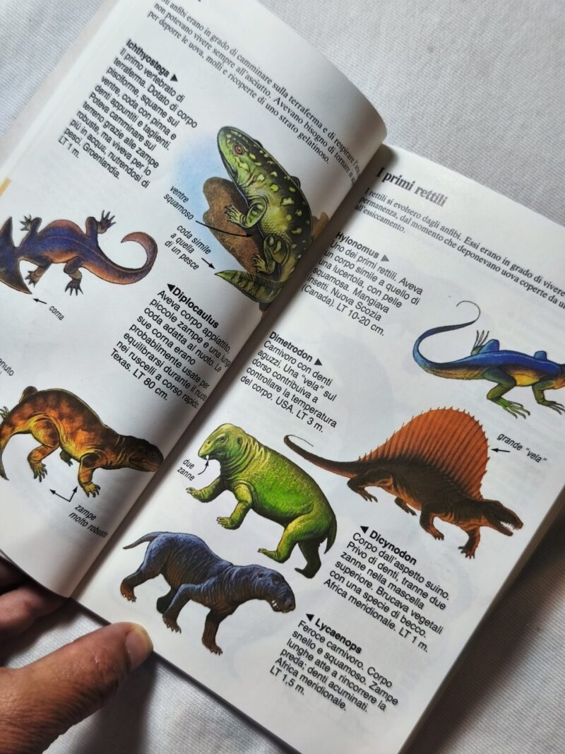I dinosauri