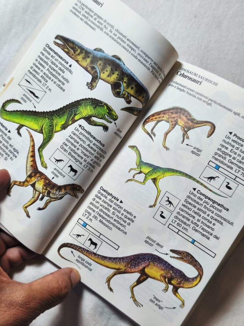 I dinosauri