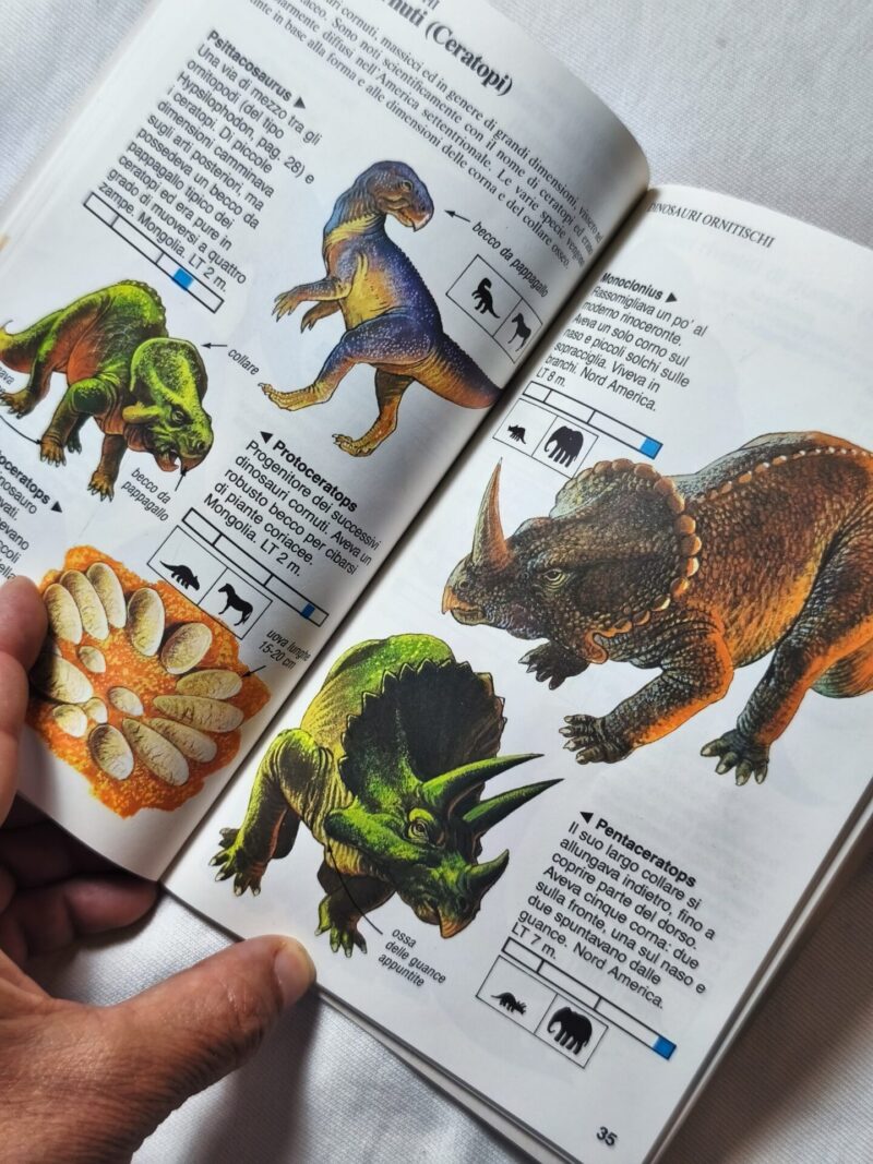 I dinosauri