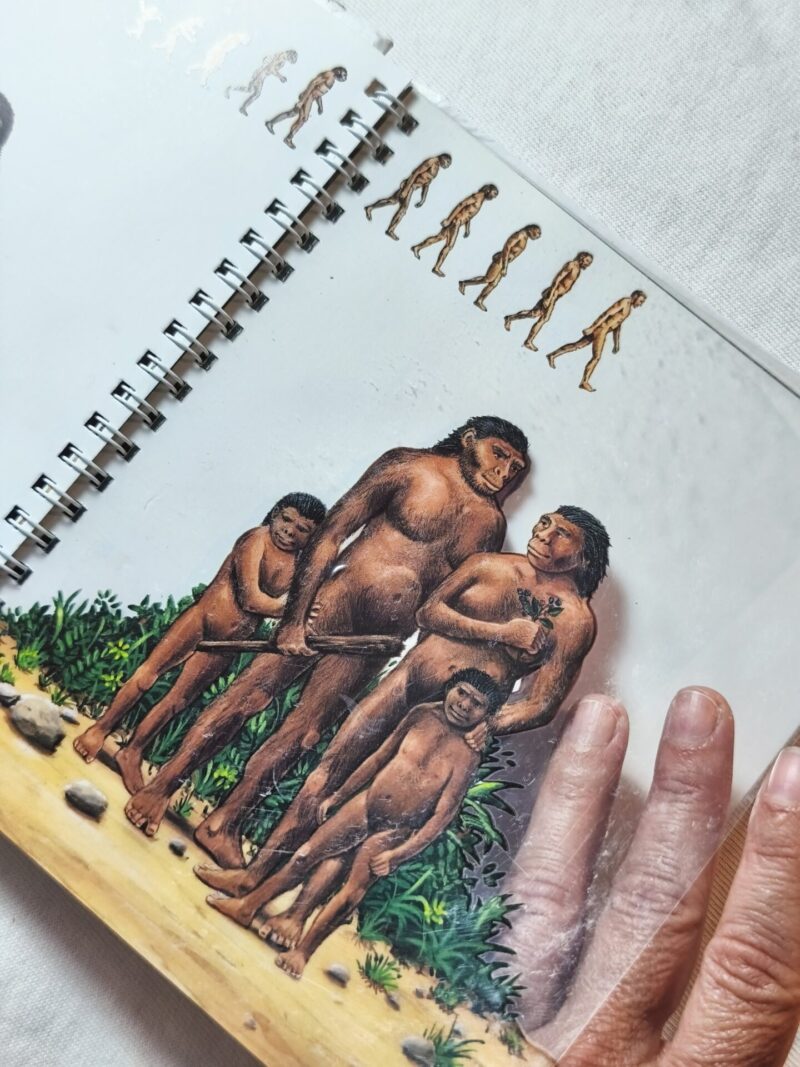 La preistoria