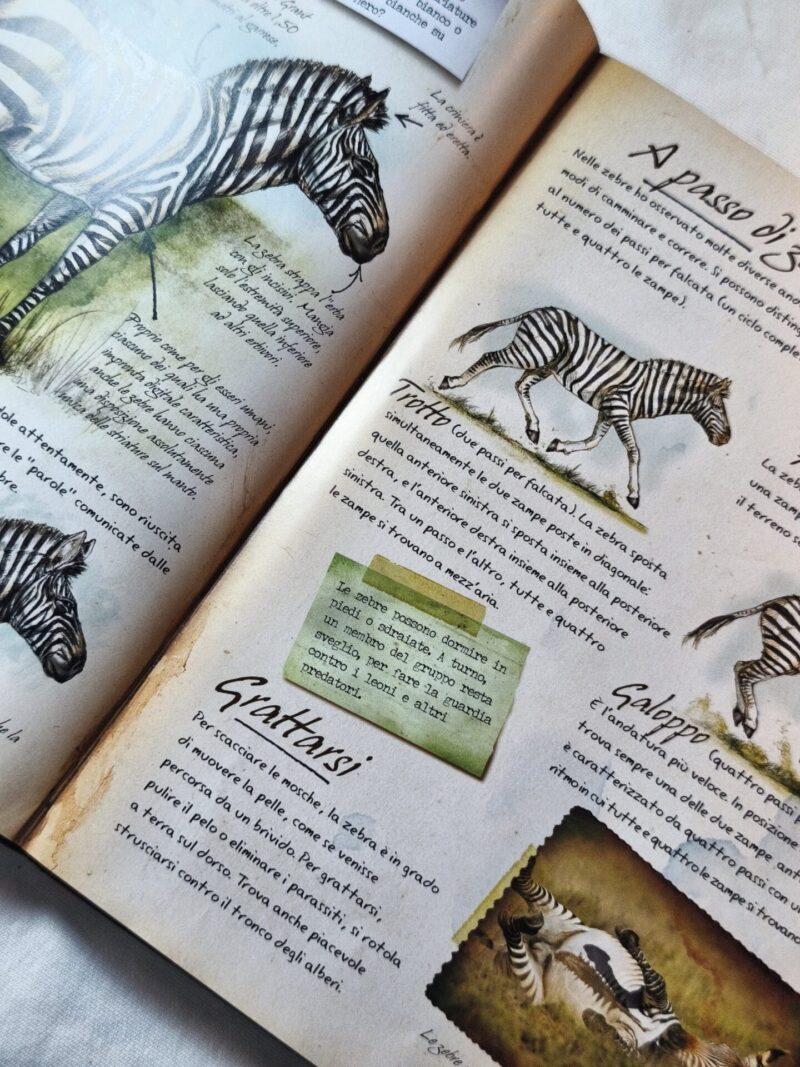 Alla scoperta degli animali