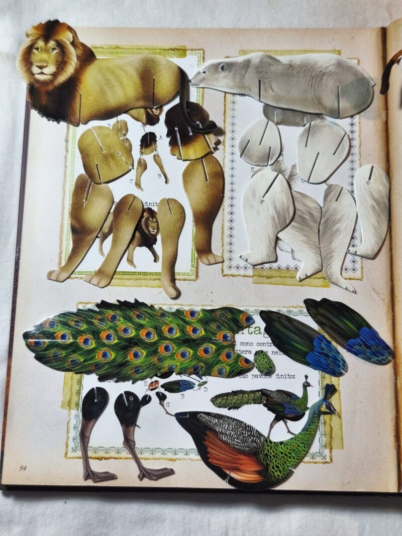 Alla scoperta degli animali