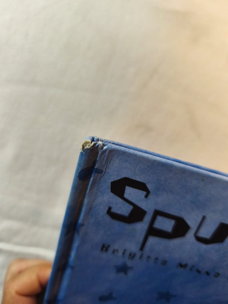 Spuki Bu