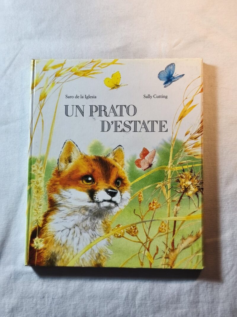 Un prato d'estate