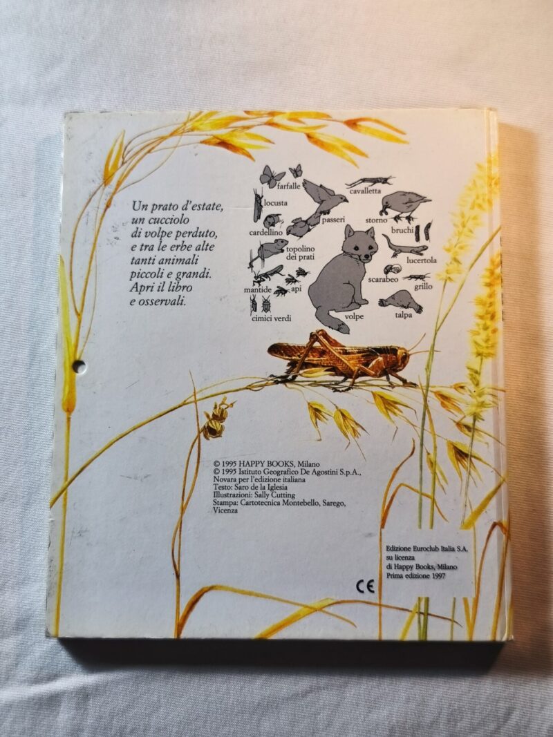 Un prato d'estate