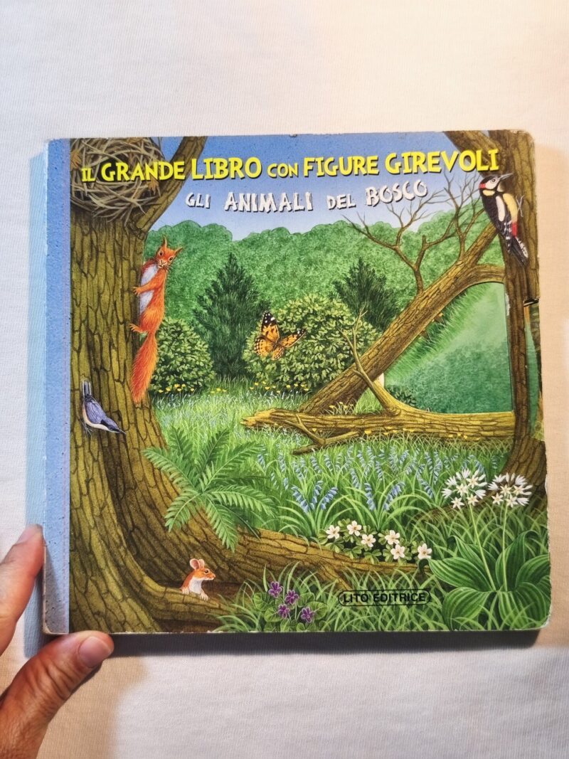 Gli animali del bosco