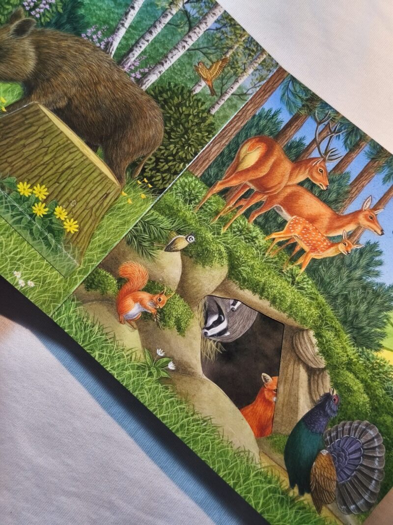 Gli animali del bosco