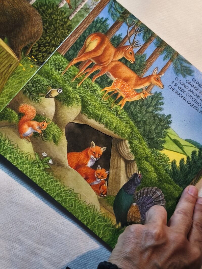 Gli animali del bosco