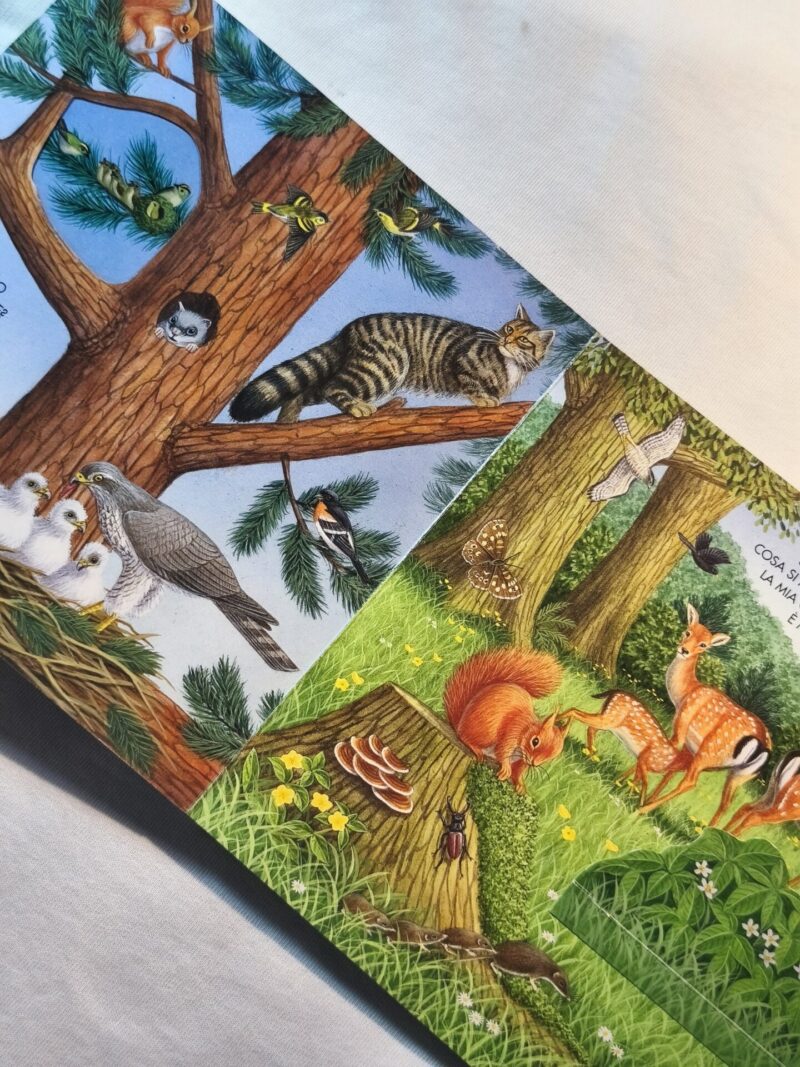 Gli animali del bosco