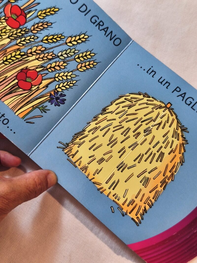 Chi è nascosto?