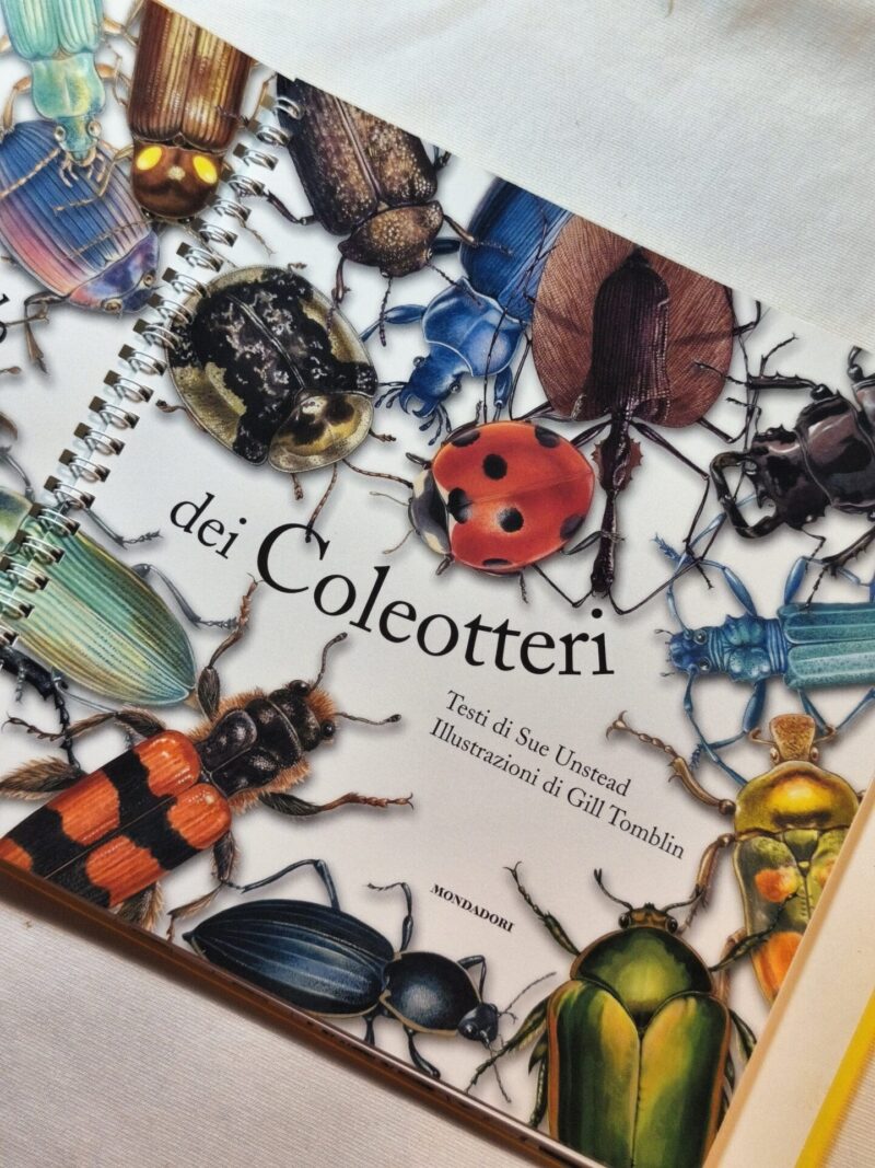 Il meraviglioso mondo dei Coleotteri