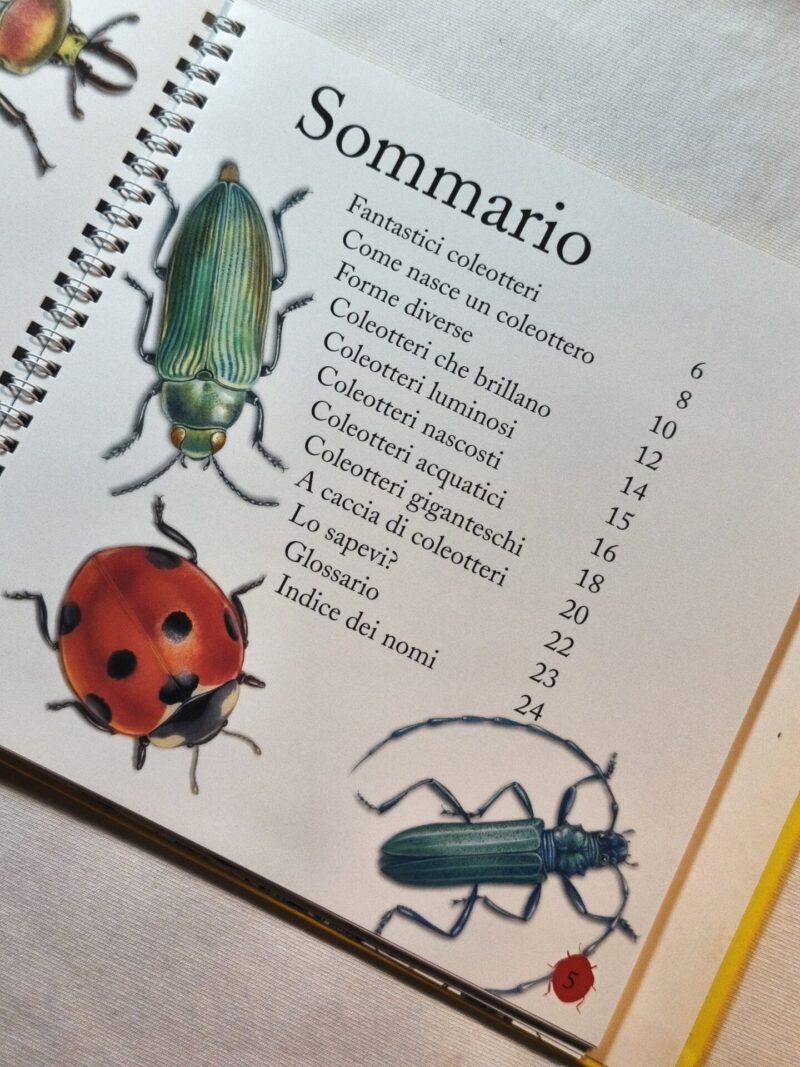 Il meraviglioso mondo dei Coleotteri