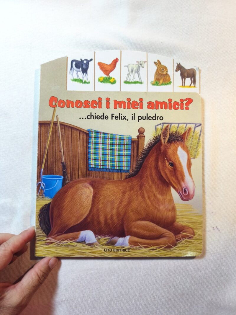 Conosci i miei amici?